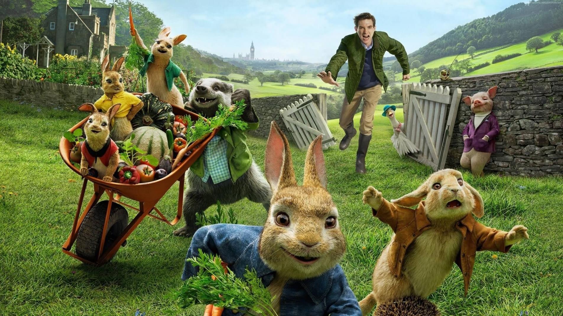 Película Peter Rabbit en Pelispedia