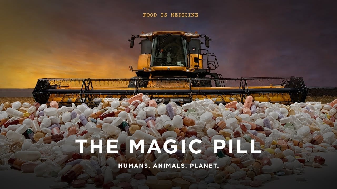 Película The Magic Pill en Pelispedia