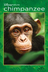 Poster Chimpancés